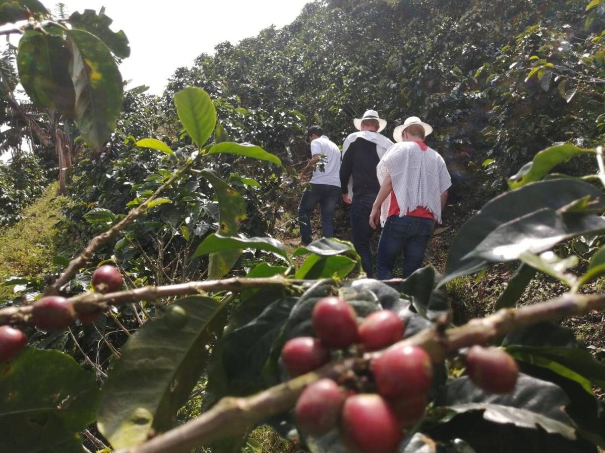 Finca Turistica Santa Clara Pansiyon Calarcá Dış mekan fotoğraf
